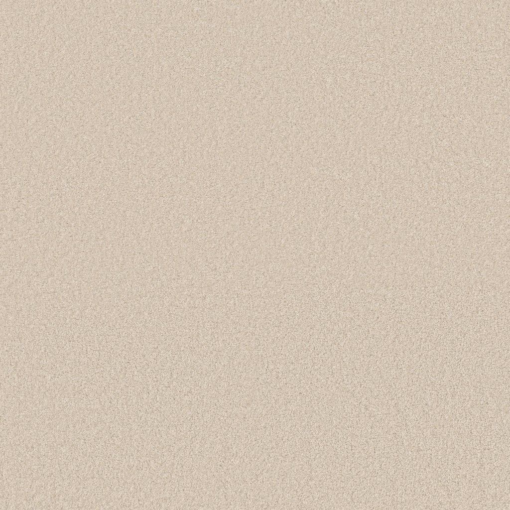 Shaw Floors Way To Go III - Soft Landing