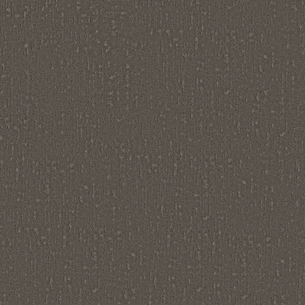 Shaw Floors Curated Tone - Night Owl