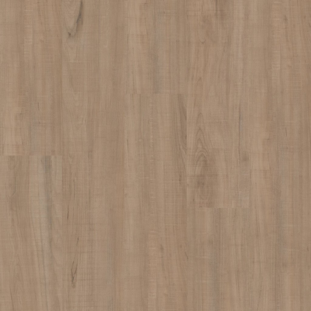 Philadelphia Commercial Setup - Chatter Oak