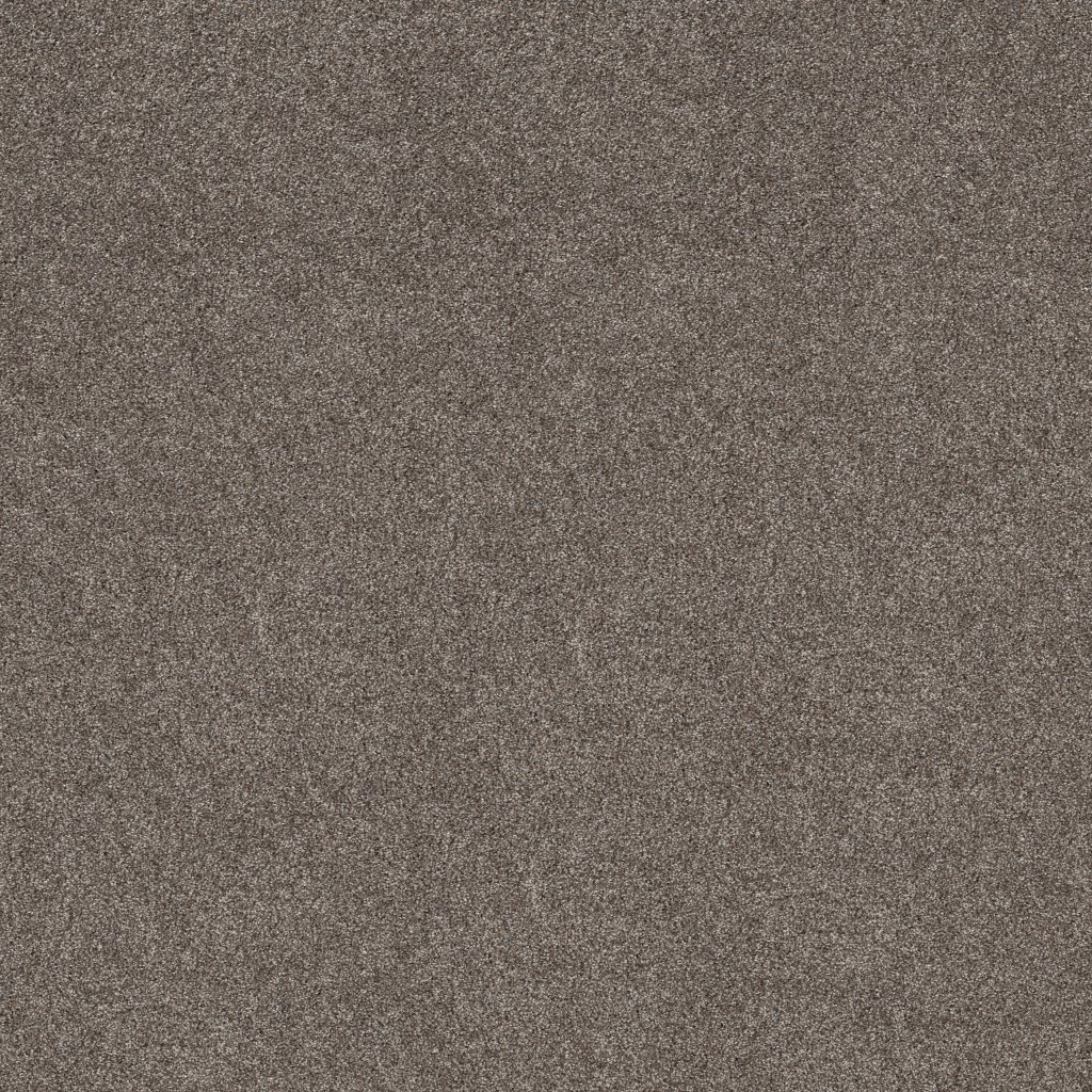 Shaw Floors Grand Outlook - Homestead