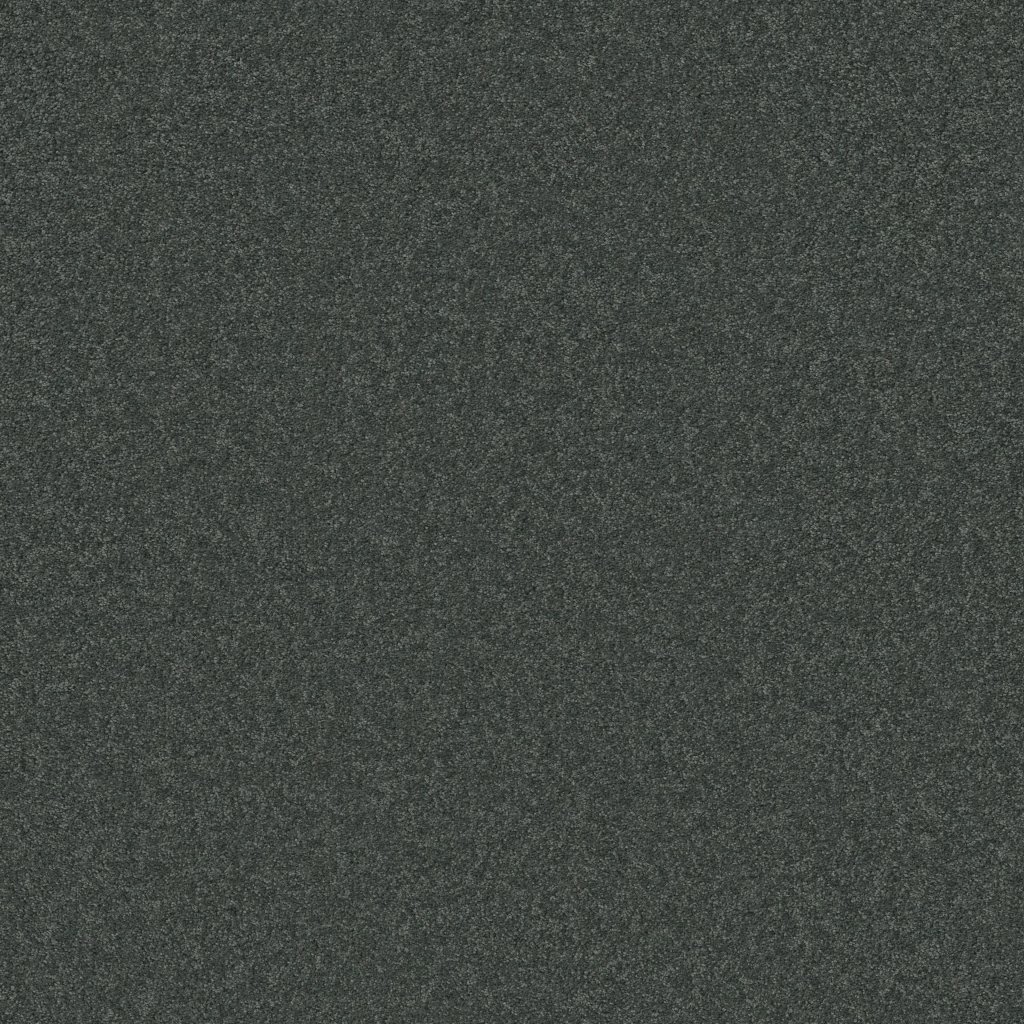 Shaw Floors THAT'S RIGHT - Seacliff Heights