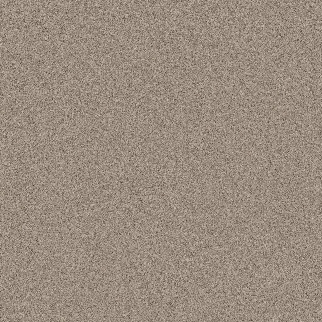 Shaw Floors Pure Affection Solid - On The Edge