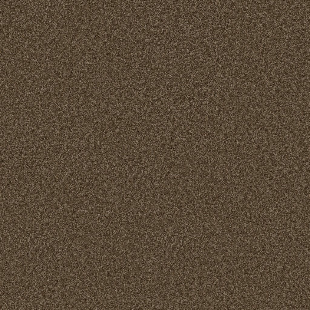 Shaw Floors Kentland 12' - Quiet Splendor