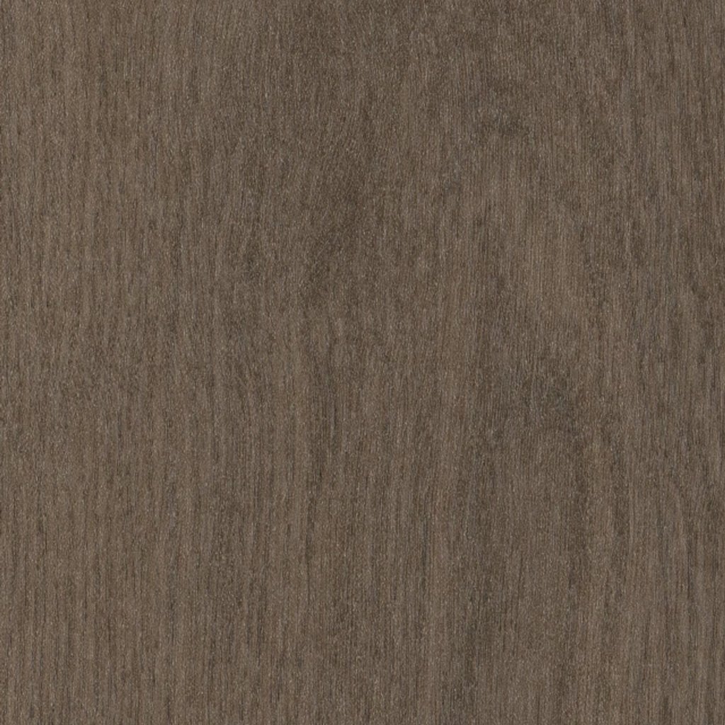 Philadelphia Commercial Willow Oak 12m - Foothills Oak