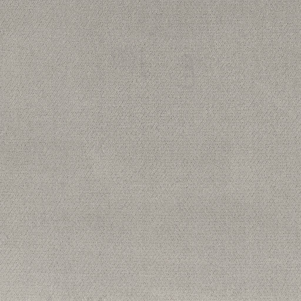 Shaw Floors Simply Classic - Frozen