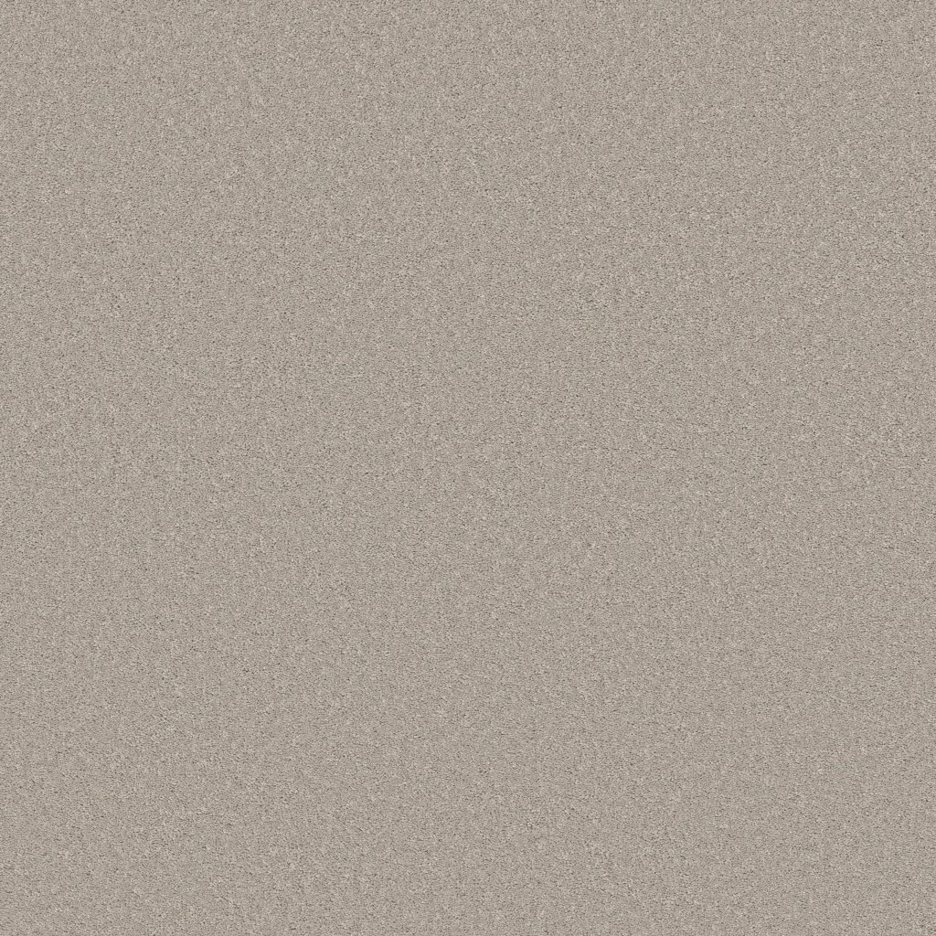 Shaw Floors Velvet Touch II - Rock Crystal