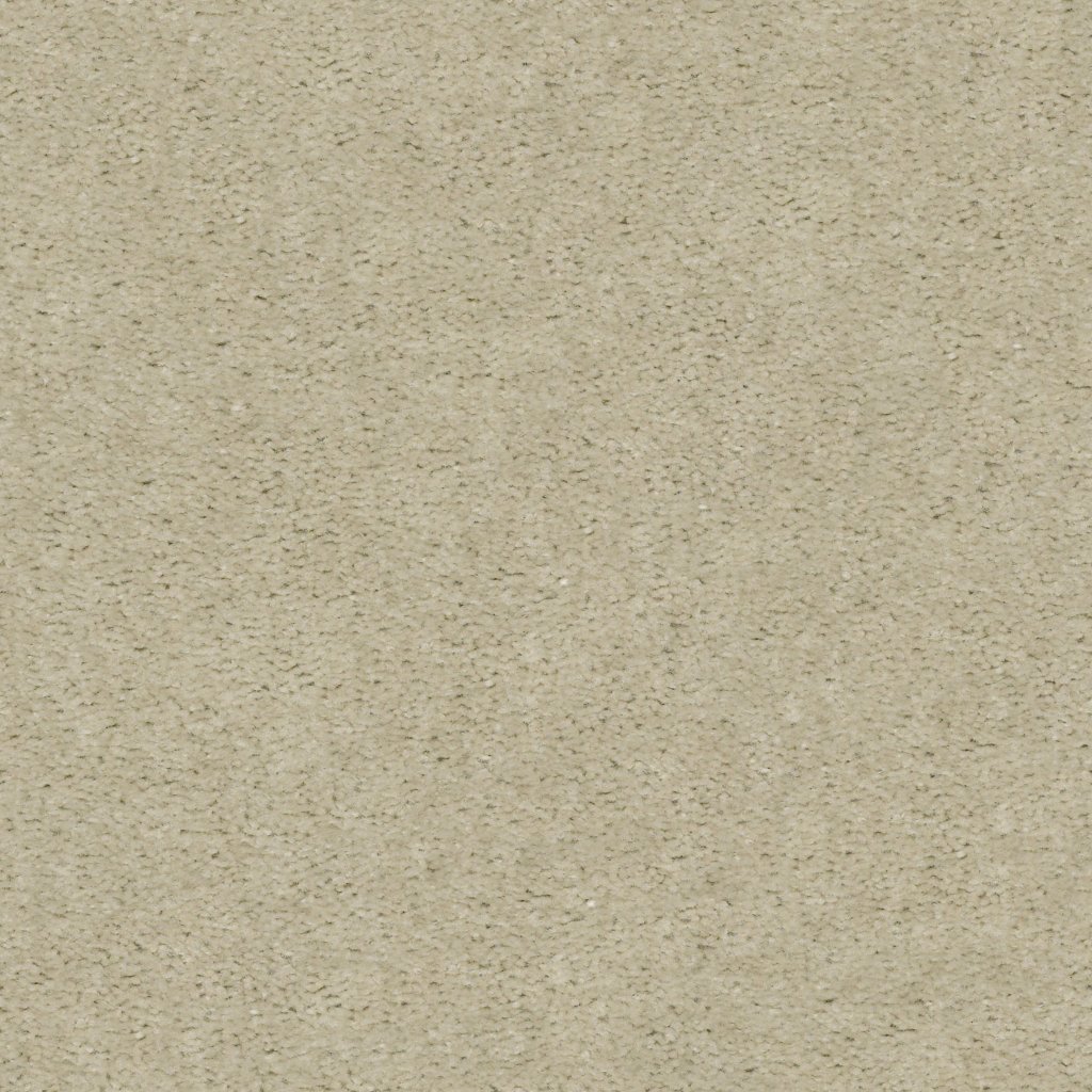 Shaw Floors INSPIRATIONAL - Coastal Sand