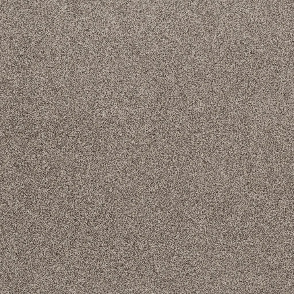 Shaw Floors Tenacious Win - Overcast