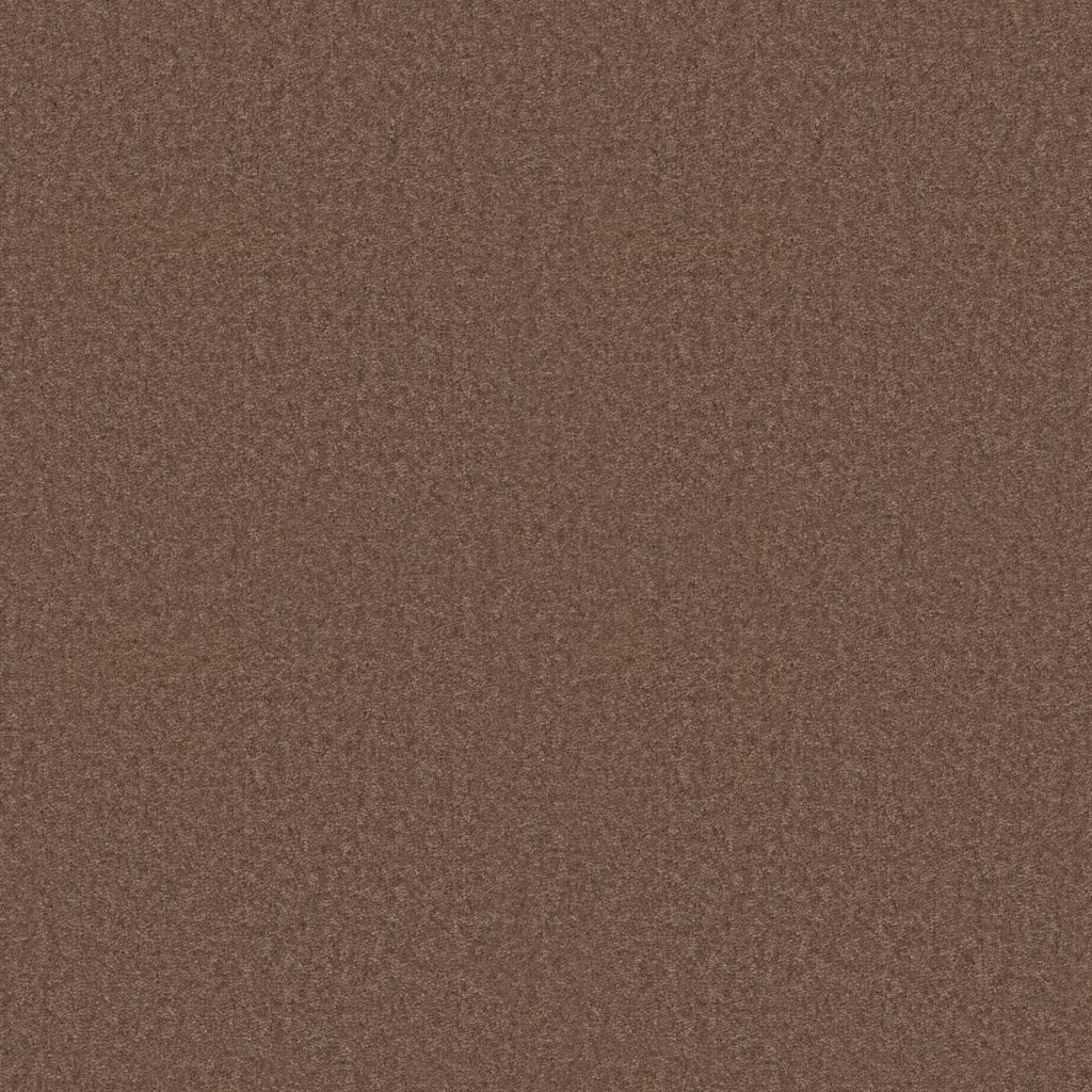 Shaw Floors Essay II 15' - Owl
