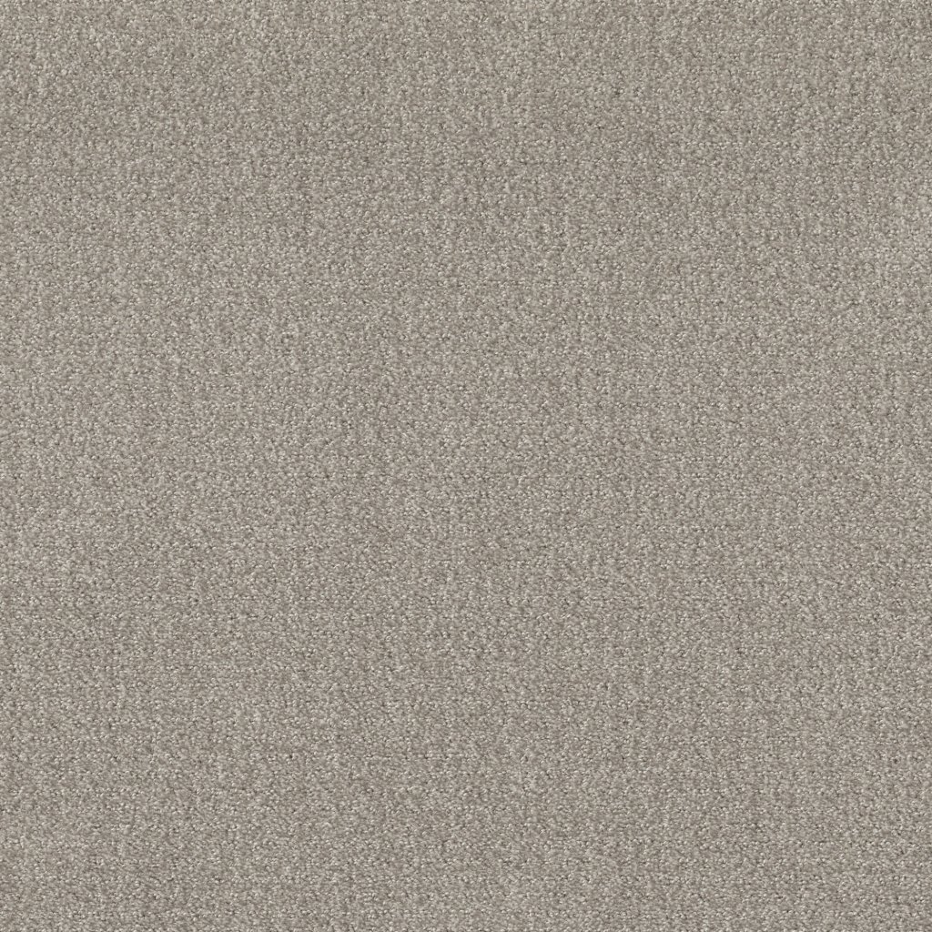 Shaw Floors Translate - Fossil