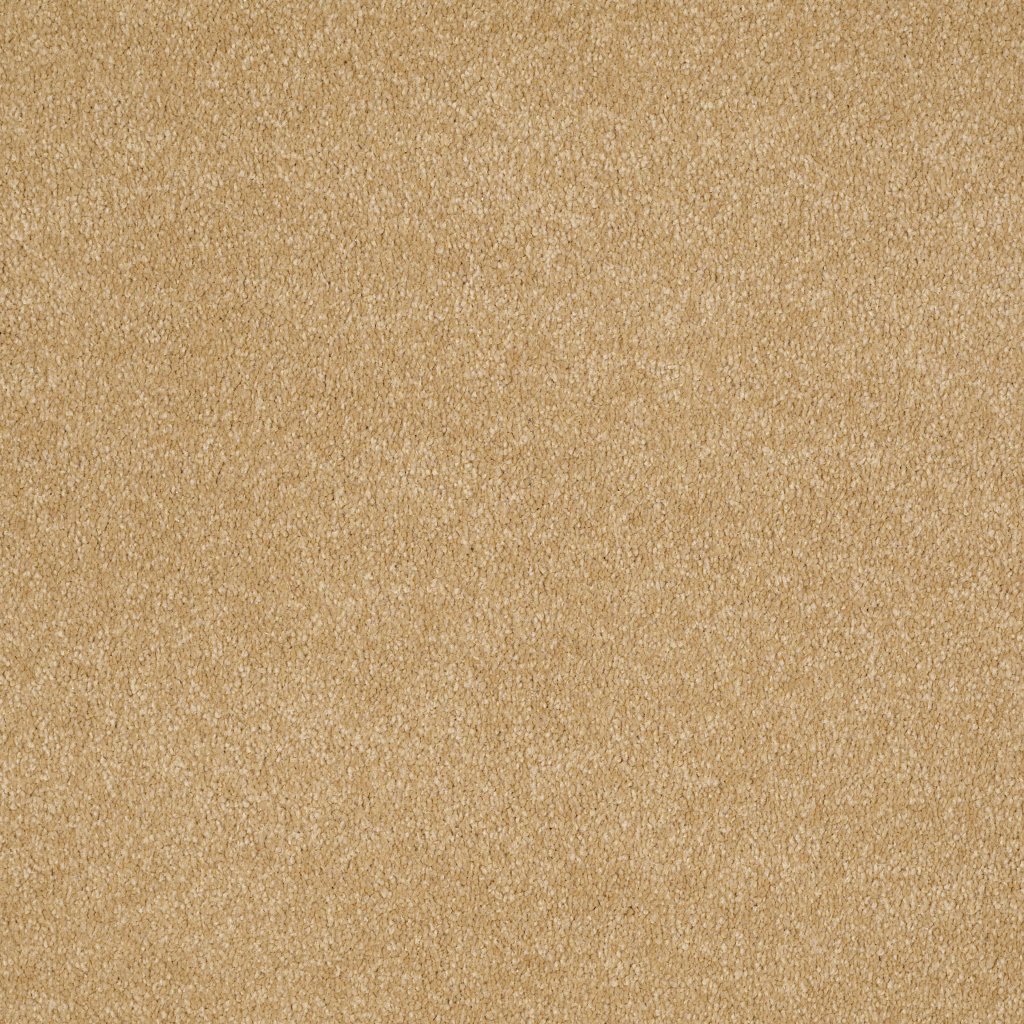 Shaw Floors Shingle Creek IV 12' - Cork
