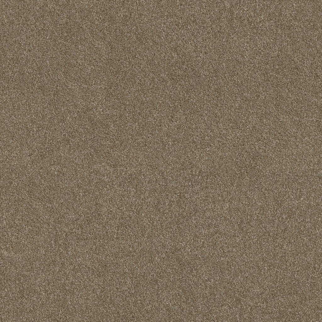 Shaw Floors Ocean View - Canyon Trail
