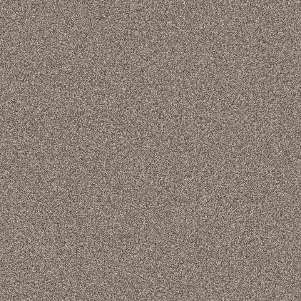 Shaw Floors Grand Influence II - Stepping Stone