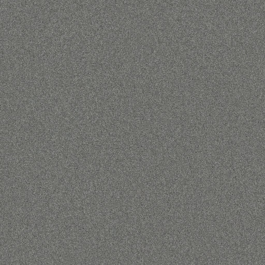 Shaw Floors Sweet Inspiration Ii - Charcoal