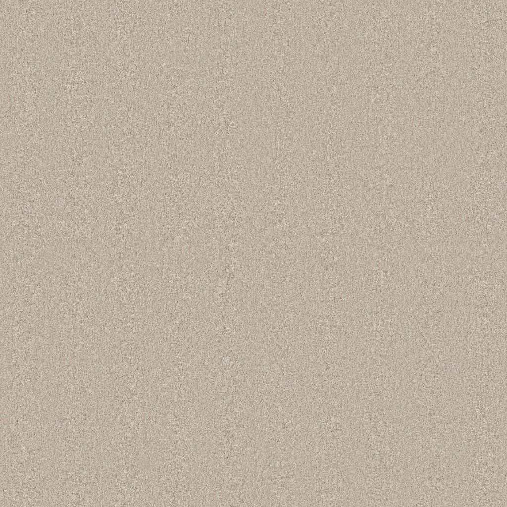 Shaw Floors Classic Tone - Twilight Taupe
