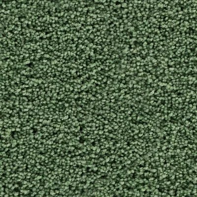 Mohawk Gentle Path - Kiwi Splash