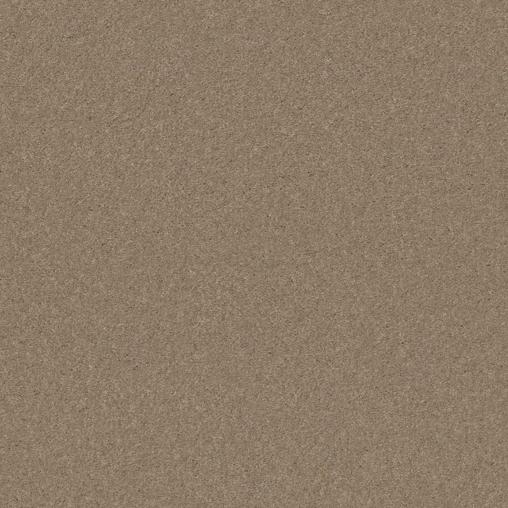 Shaw Floors Well Played I 15' - Honeycomb