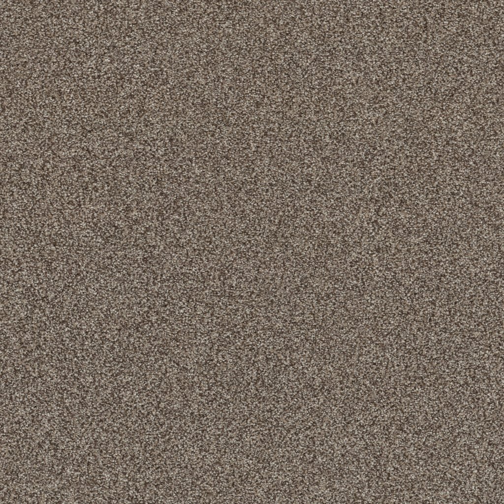 Shaw Floors Affirmation I - Havana
