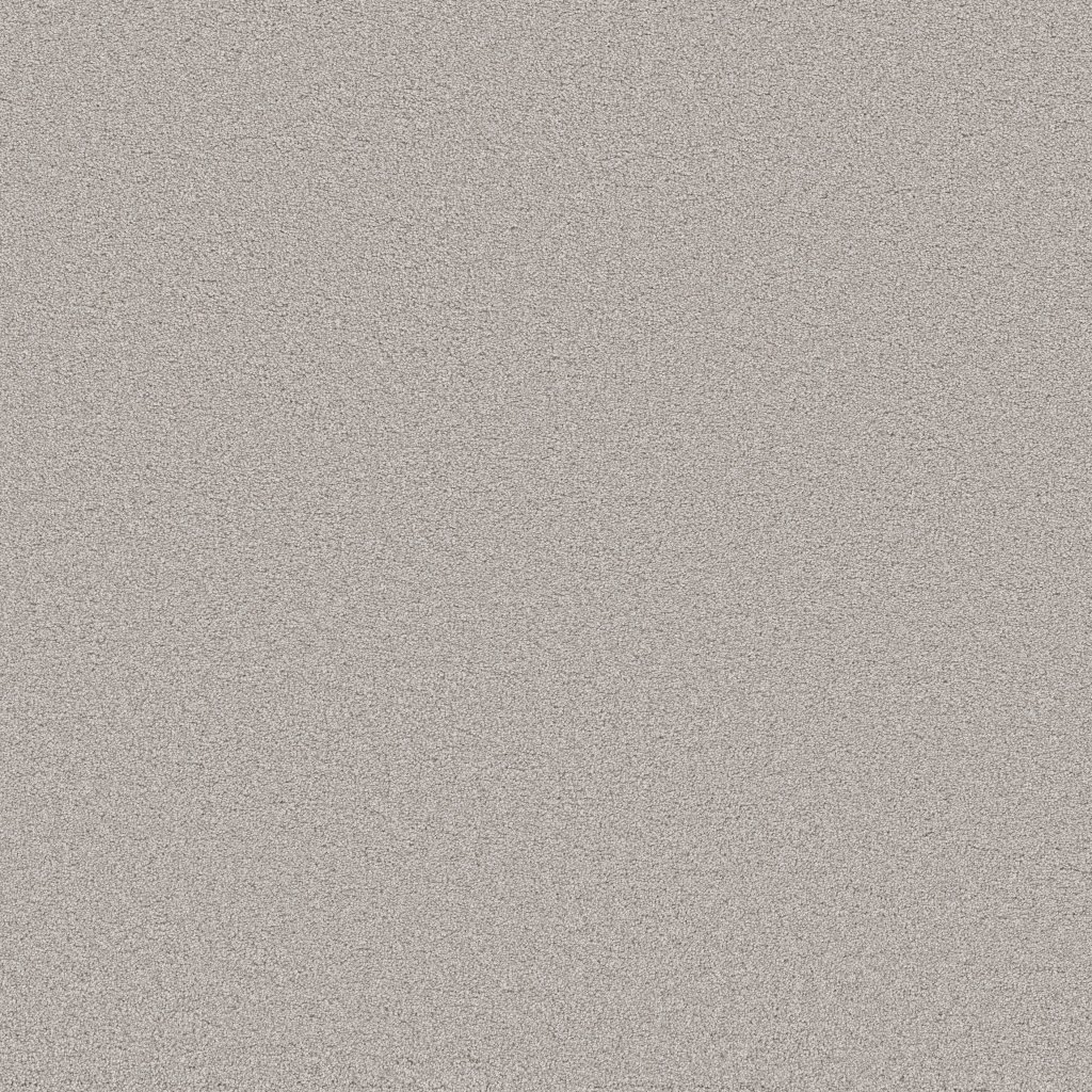 Shaw Floors Blended Touch II - Marble