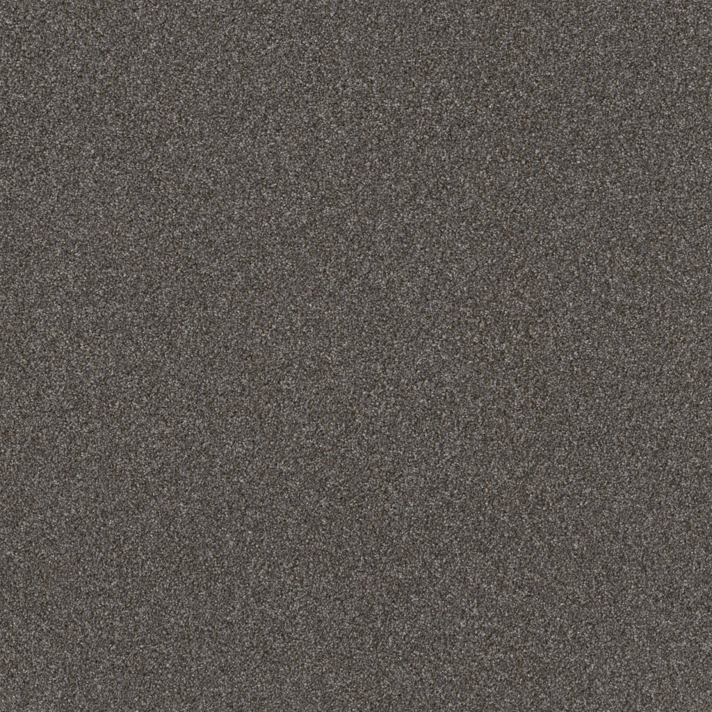 Shaw Floors Right Choice - Gauntlet Gray
