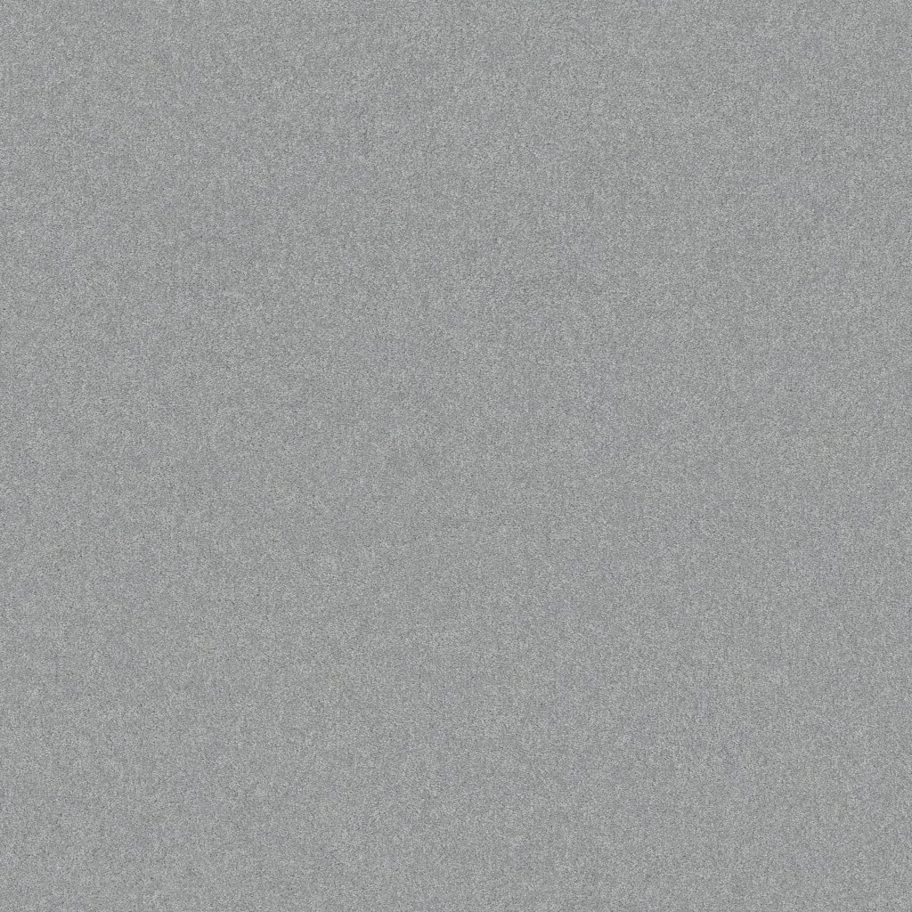 Shaw Floors Your Comfort II - Polished Silver