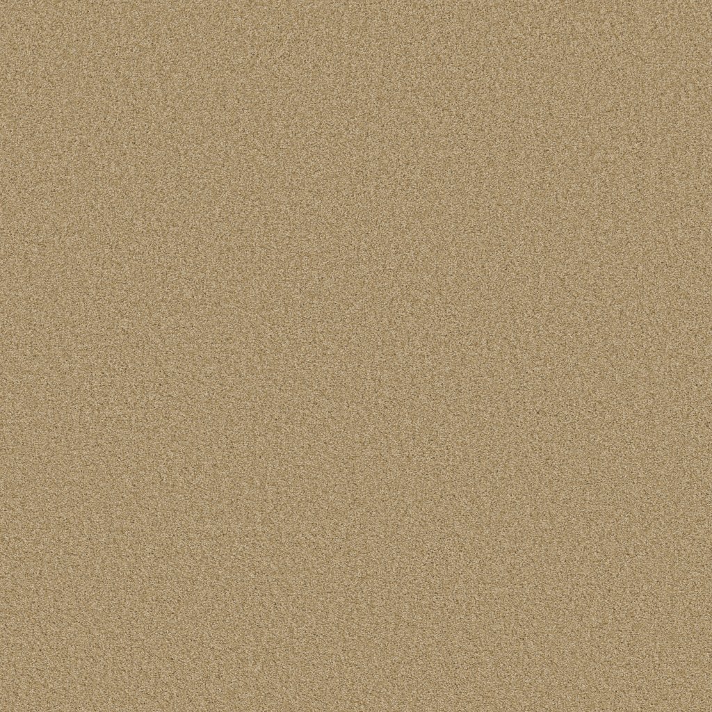 Shaw Floors Tonal Comfort Blue - Hello Sunshine