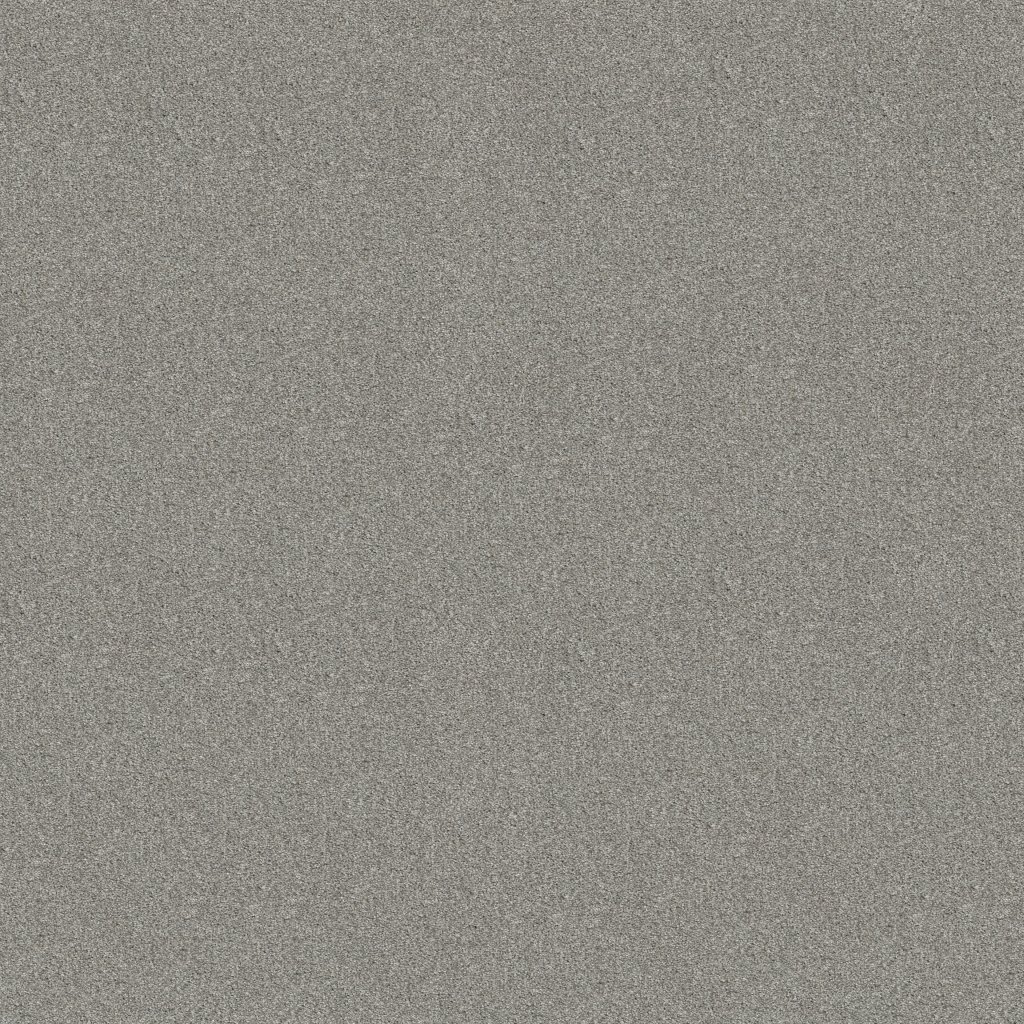 Shaw Floors Tonal Comfort II - Restful Day