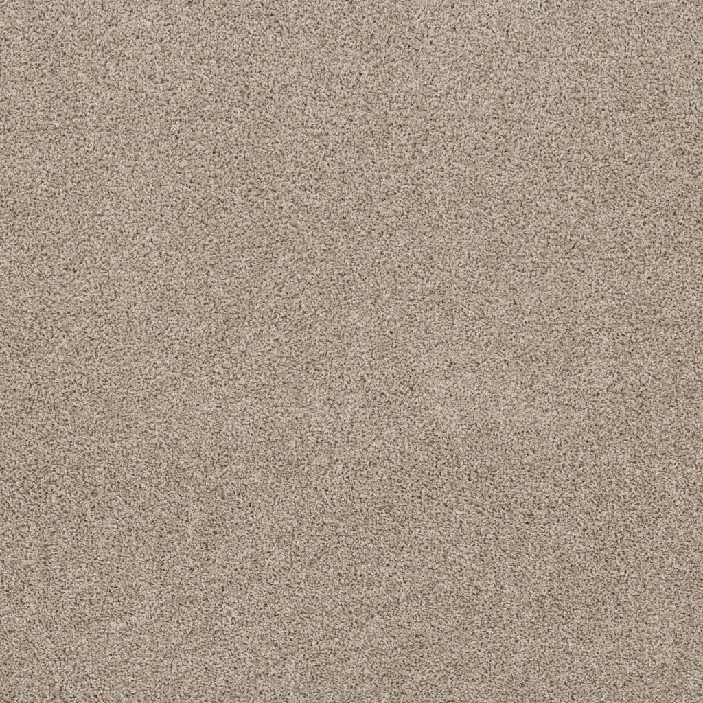 Shaw Floors Shake It Up (A) - Creamy Silk