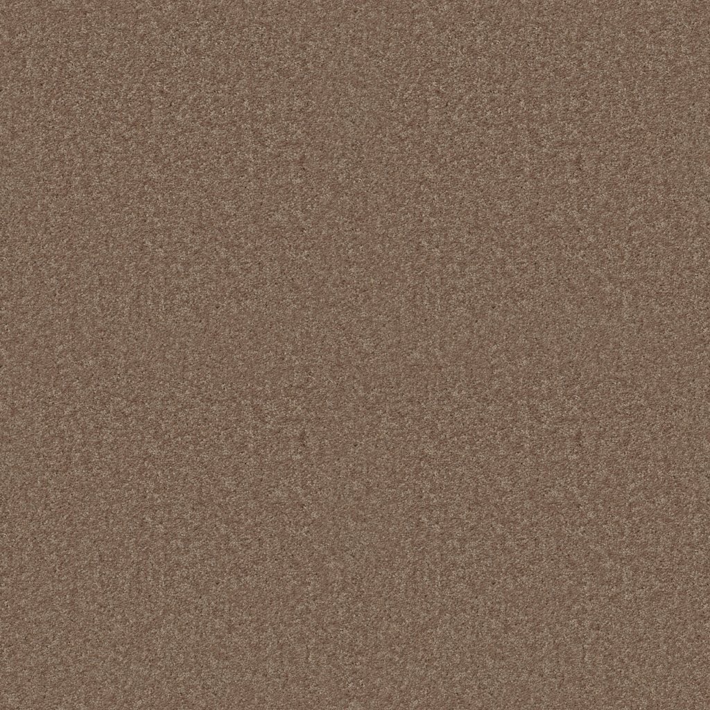 Shaw Floors Dyersburg II 15' - Driftwood