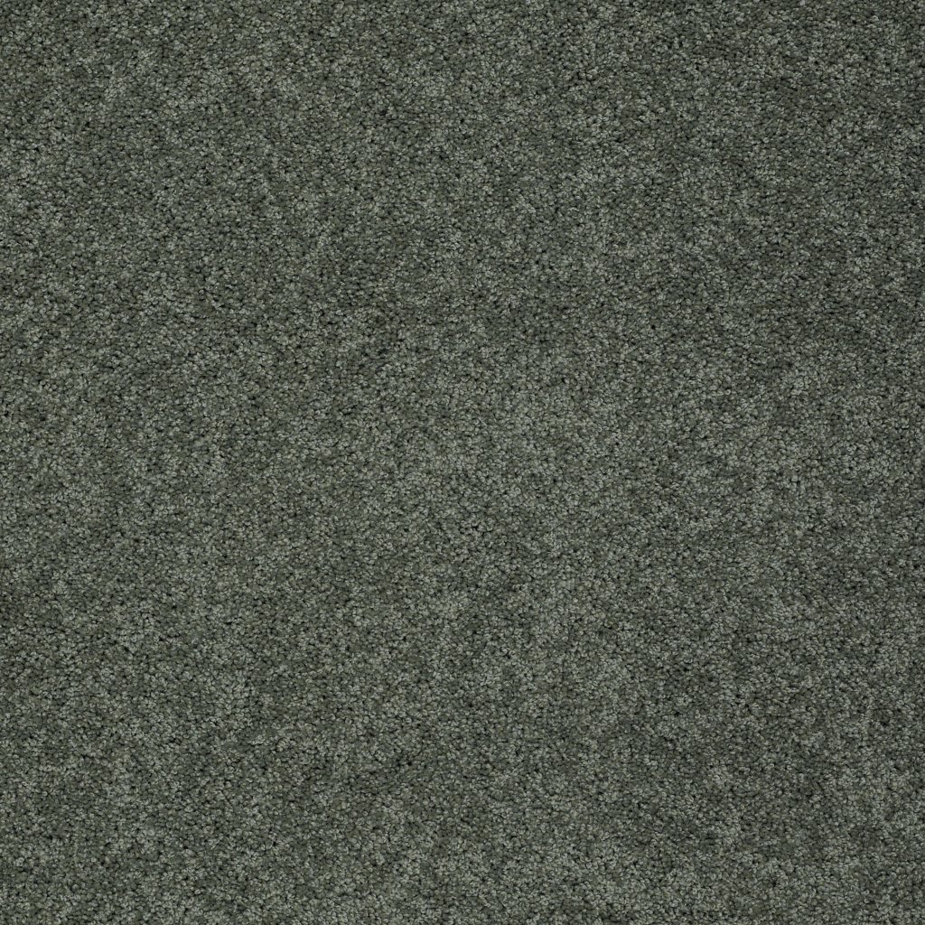 Shaw Floors Inspired By Ii - Bay Laurel