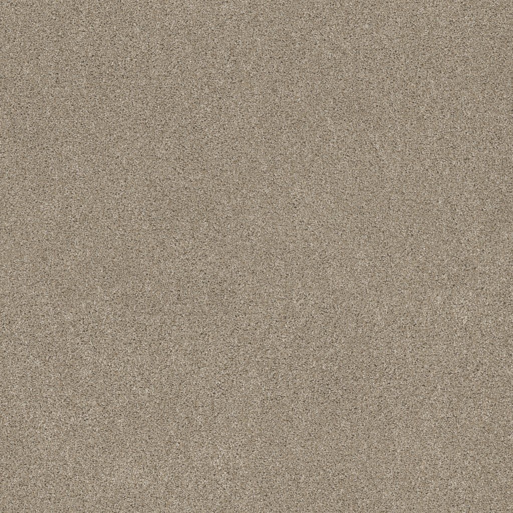 Shaw Floors Ocean View - Clay
