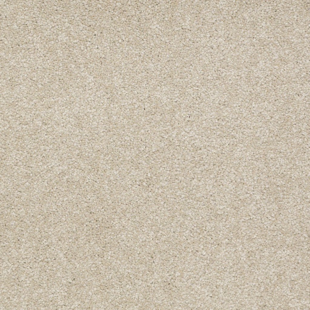 Shaw Floors Timeless Appeal III 15' - Silver Charm