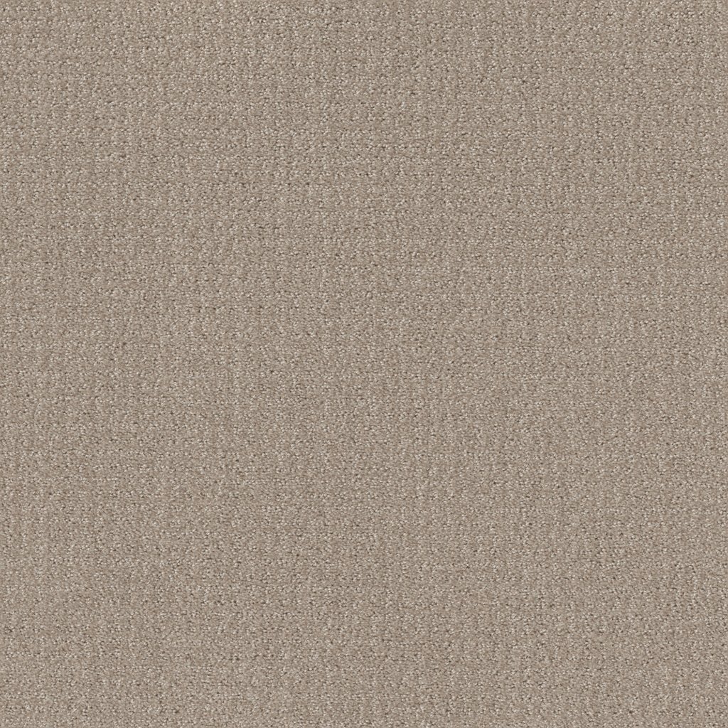 Shaw Floors Translate - Sand Swept