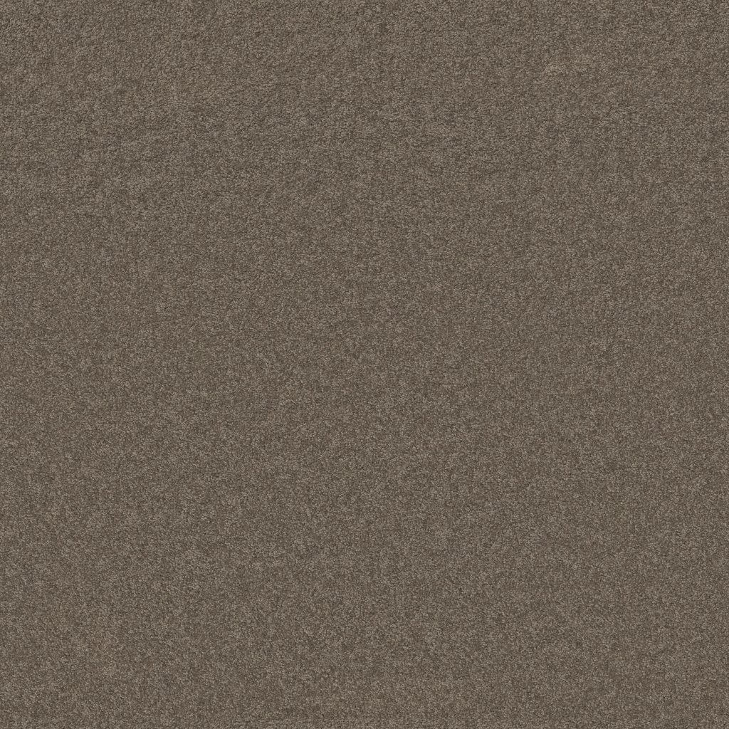 Shaw Floors THAT'S RIGHT - Rustic Taupe