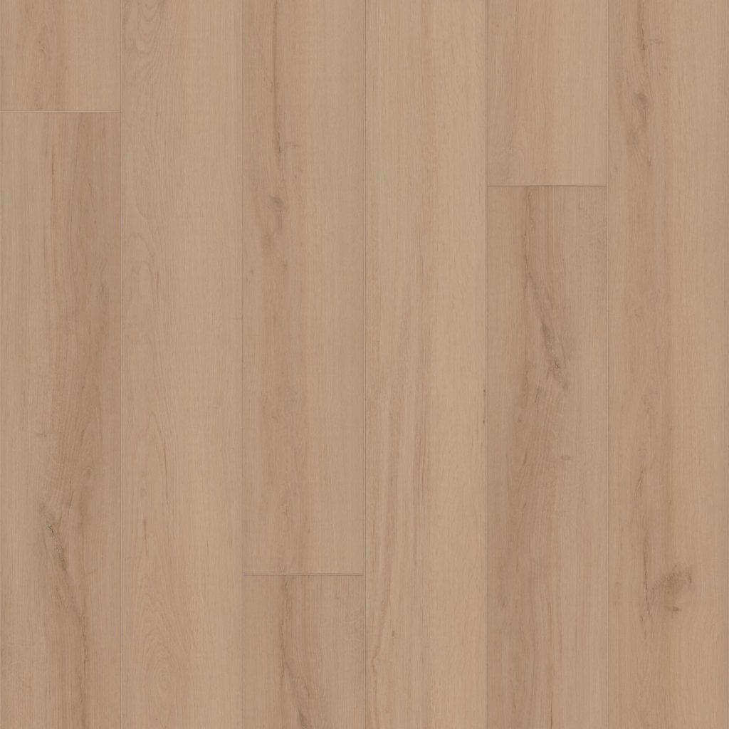 Shaw Floors Ambition - Champagne