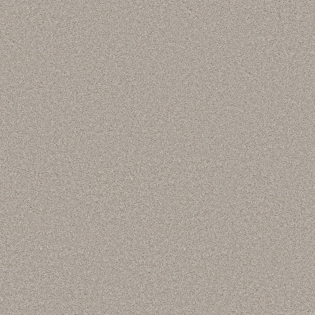 Shaw Floors Blended Touch II - Raw Silk