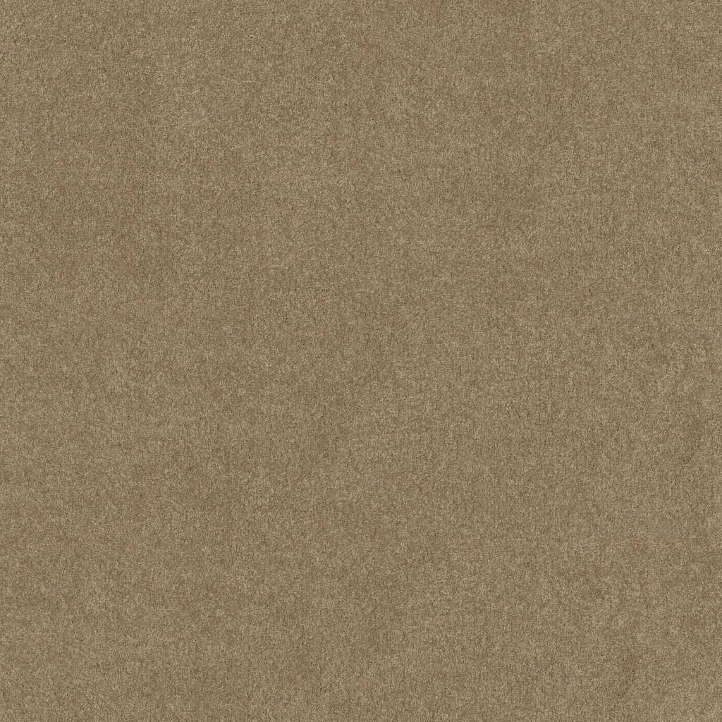 Shaw Floors Basic Rules - Gold Rush