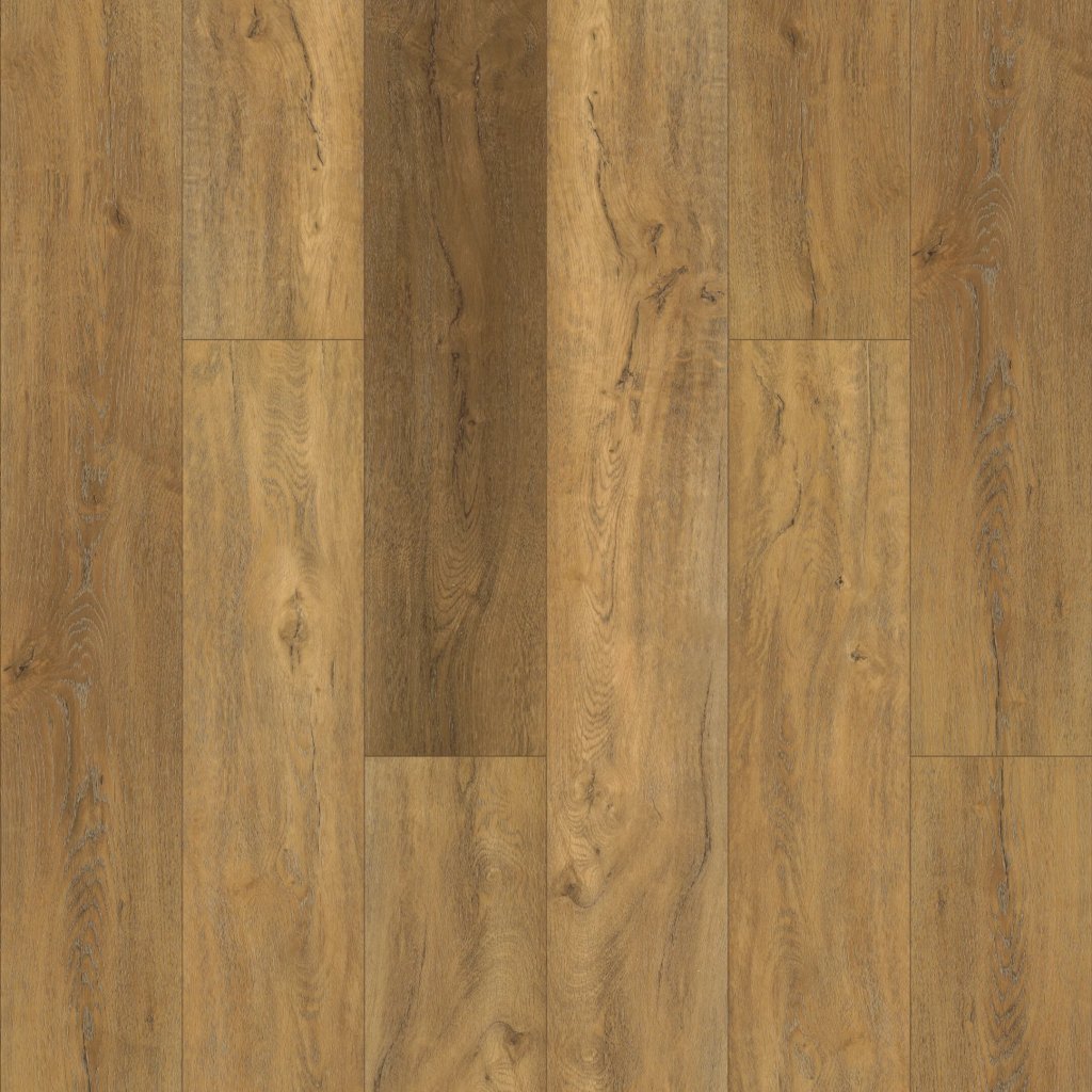 Shaw Floors Pantheon HD Plus - Foresta