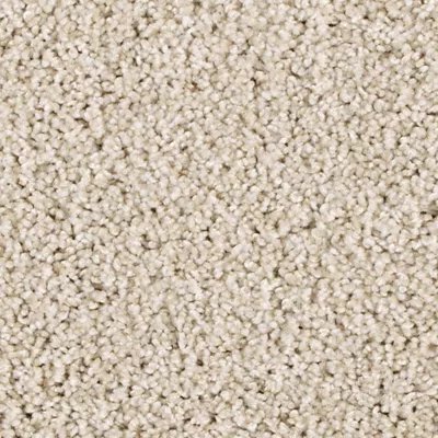 Mohawk Assorted Elements I - Linen Lace
