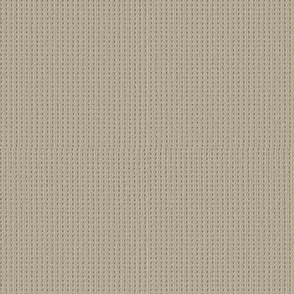 Shaw Floors San Antonio - Fleece