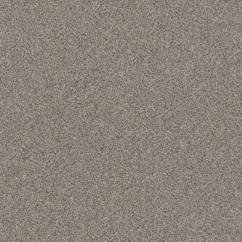 Shaw Floors Affirmation I - Bistro