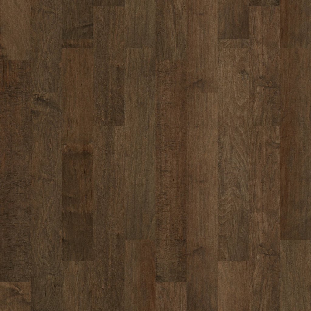 Shaw Floors PACIFIC GROVE - Bison