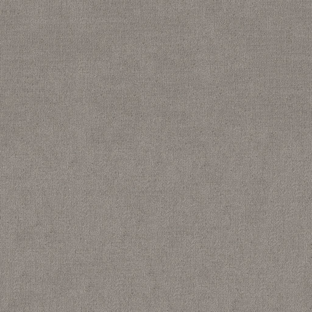 Shaw Floors Sierra Vista - Antique Gray