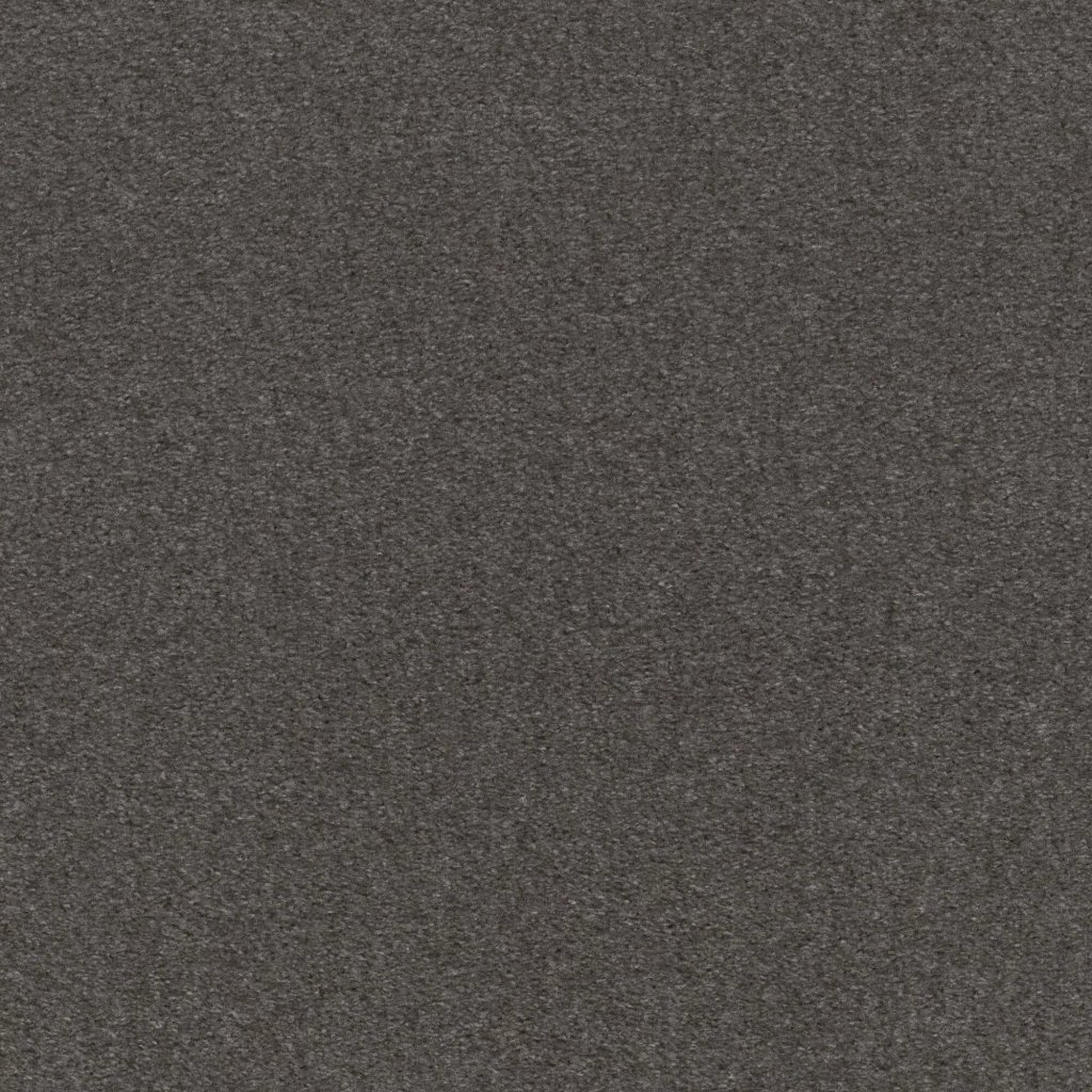 Shaw Floors Heroic - Wrought Iron