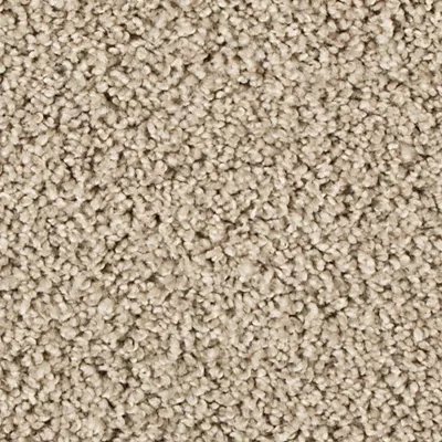 Mohawk Assorted Elements I - Taupe Shadow