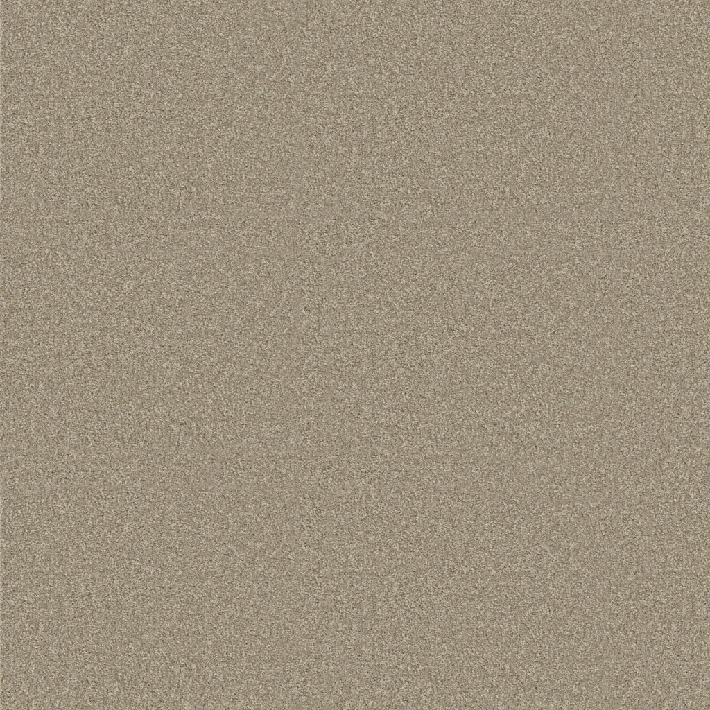 Shaw Floors YOU KNOW IT - Coastal Fog