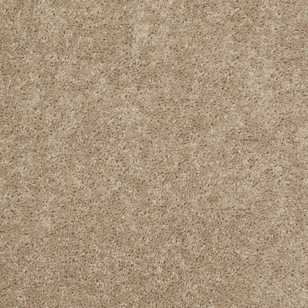 Shaw Floors Royal Portrush I 15' - Honeycomb