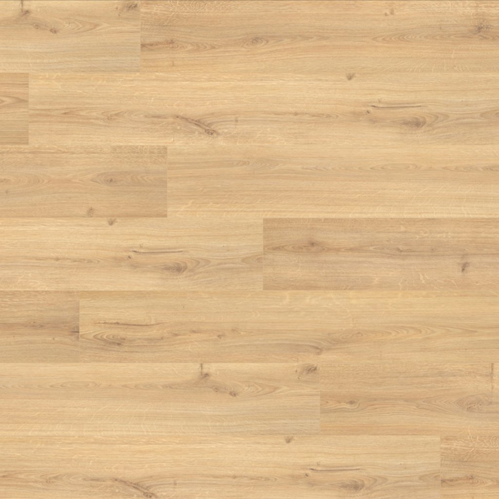Mohawk Palm City - Lighthouse Oak