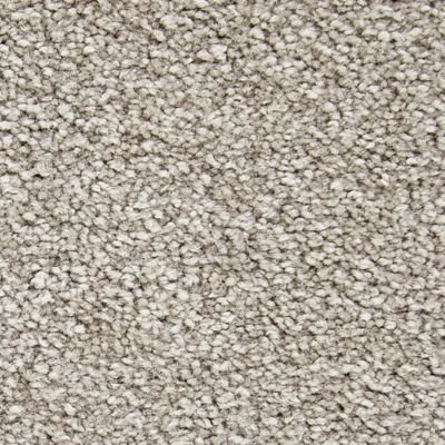 Mohawk Memorable View - Walnut Frost
