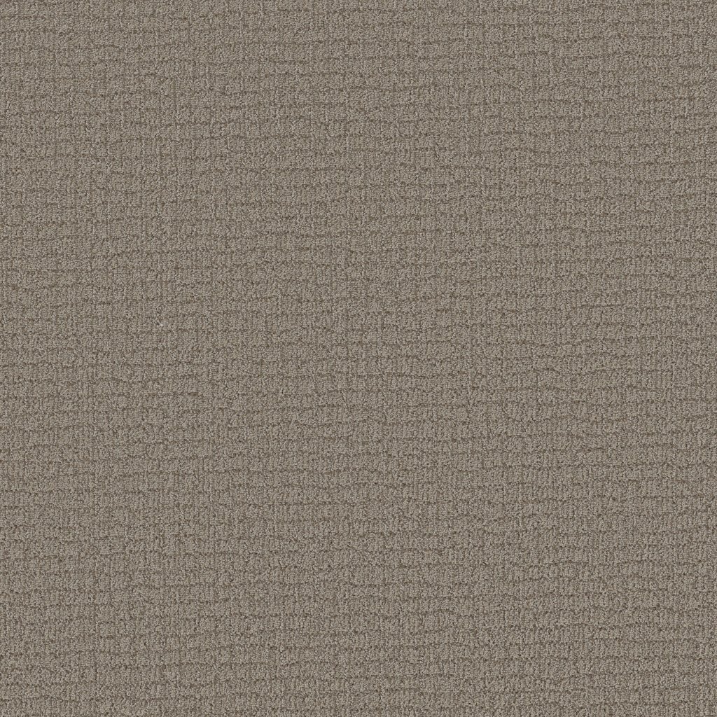 Shaw Floors Path Home - Chic Greige